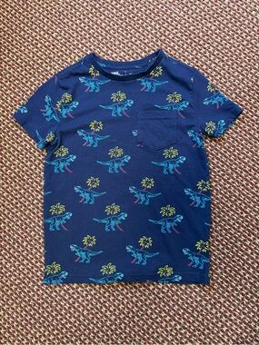 Rumi + Ryder Blue Dinosaur Pocket Tee